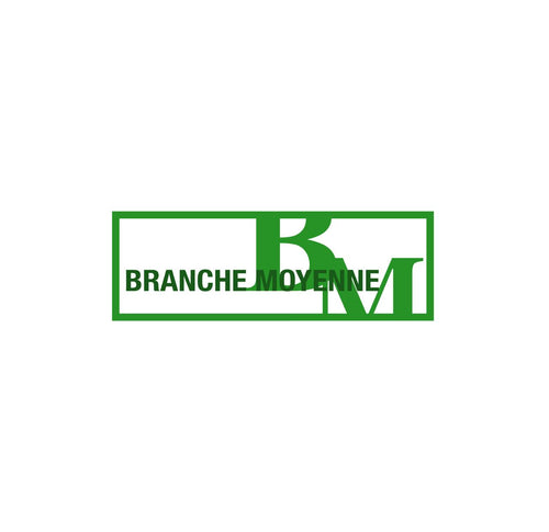 Ecusson Branche Moyenne (BM)