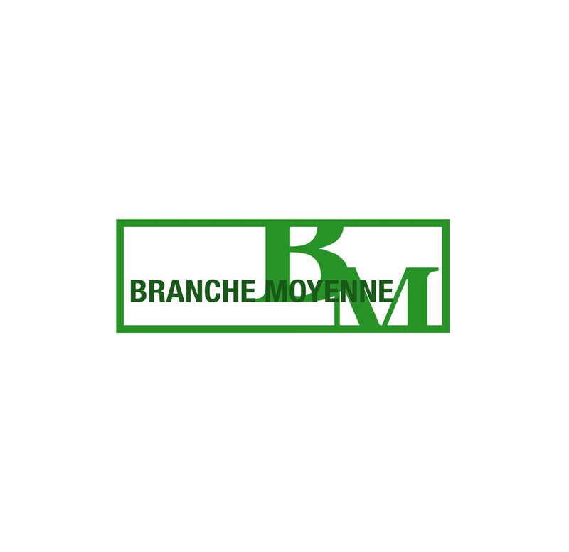 Ecusson Branche Moyenne (BM)